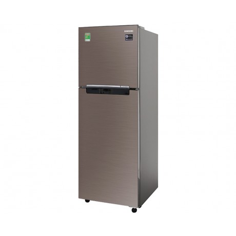 Tủ Lạnh Samsung Inverter 236 Lít RT22M4032DX/SV